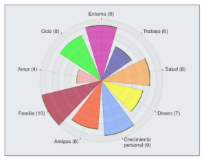 Ejemplo de rueda de la vida