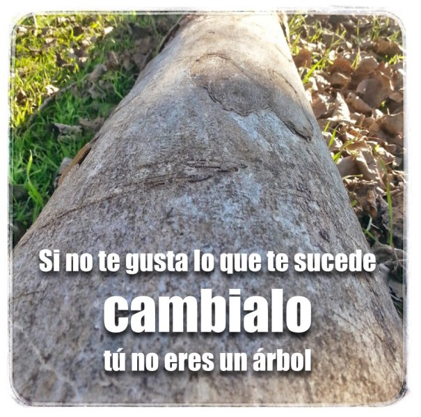 Si no te gusta lo que te sucede, cambiado, tú no eres un árbol