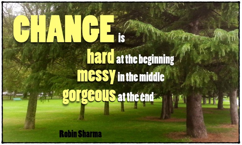 El cambio es difícil al principio, desordenado en el medio y precioso al final. Robin Sharma