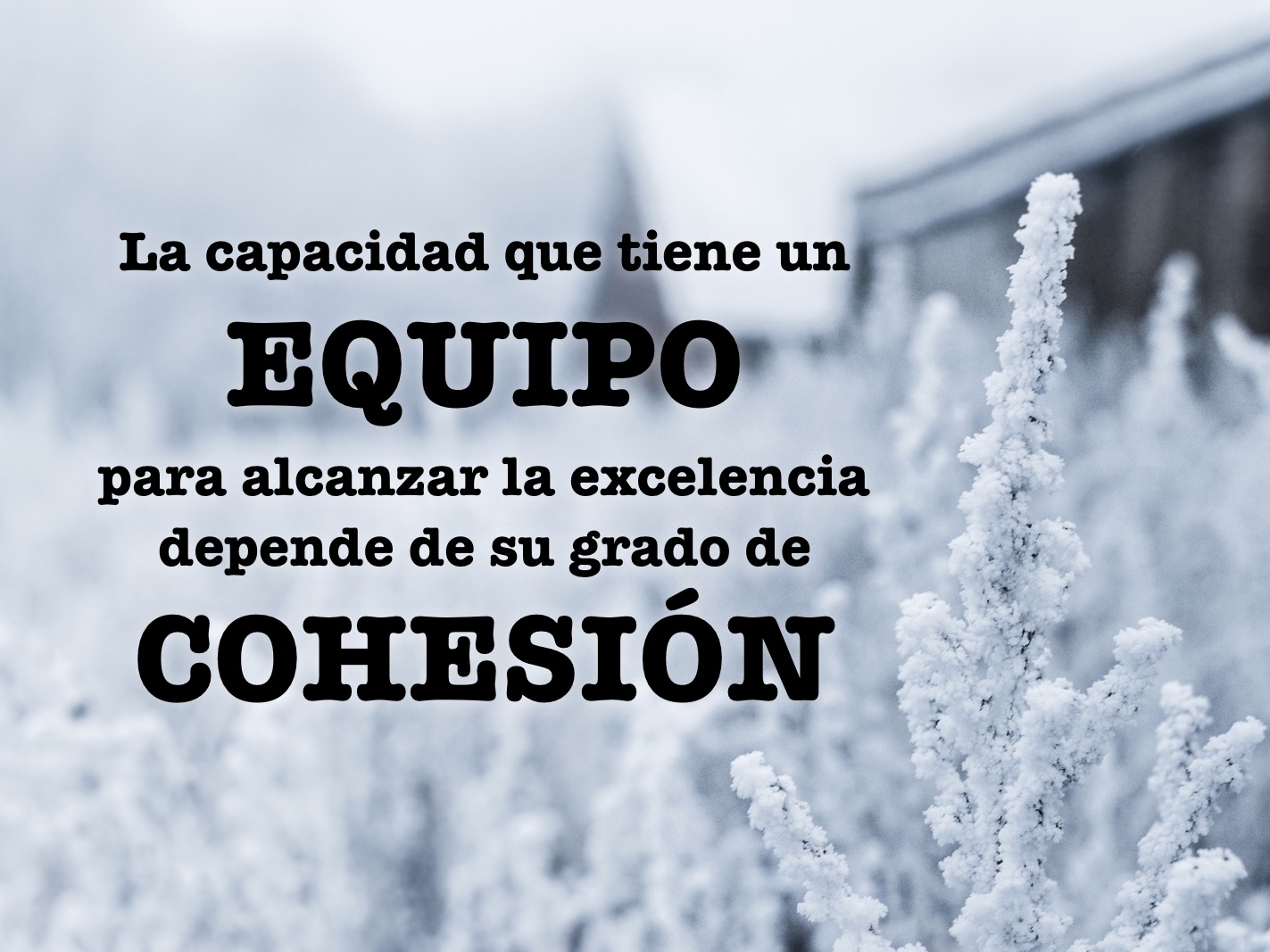 La capacidad que tiene un EQUIPO para alcanzar la excelencia depende de su grado de COHESIÓN.