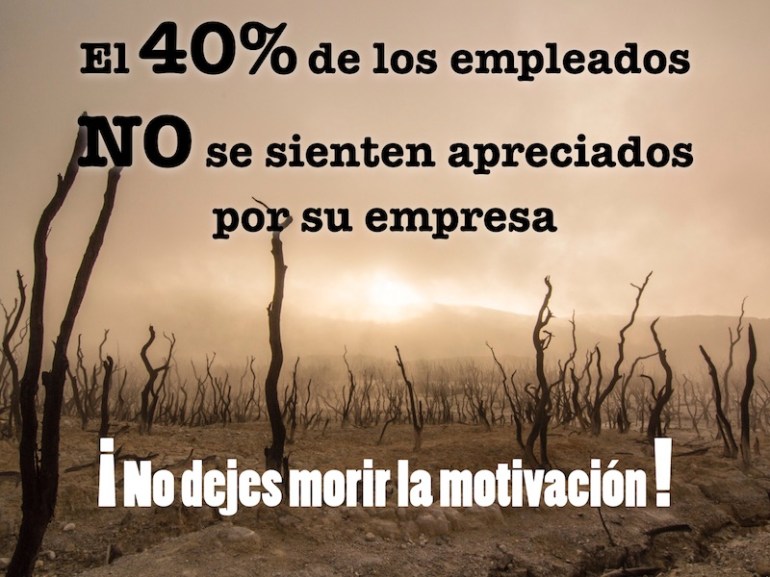 El 40% de los empleados No se sienten apreciados por su empresa.