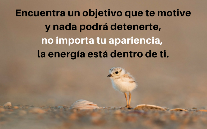 Encuentra un objetivo que te motive y nada podrá detenerte, no importa tu apariencia, la energía está dentro de ti.