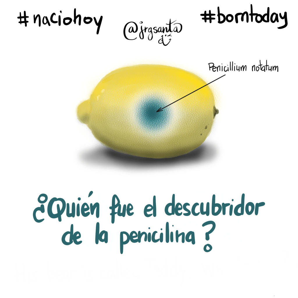 “Pregunta” en mi proceso diario en mi reto #naciohoy #reto202