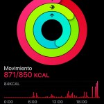 Círculos de actividad